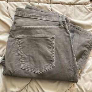 GAP Universal Baby Boot Leg Corduroy Trousers in “New Cashmere” Grey Sz 18 / 34R